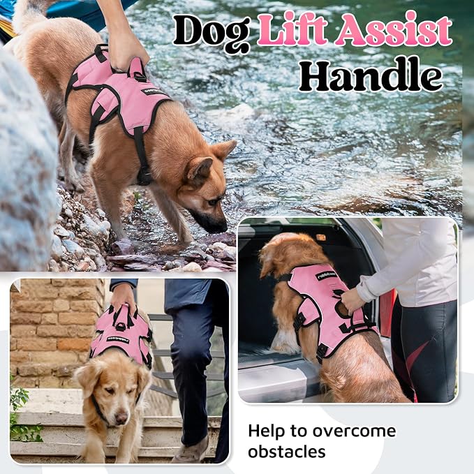rabbitgoo Escape Proof Dog Harness for Medium, No Pull with Lift Handle | No Escape, Full Soft Padded, Reflective Adjustable Vest, Leash Clip for Walking Hiking Training, Pink, Medium