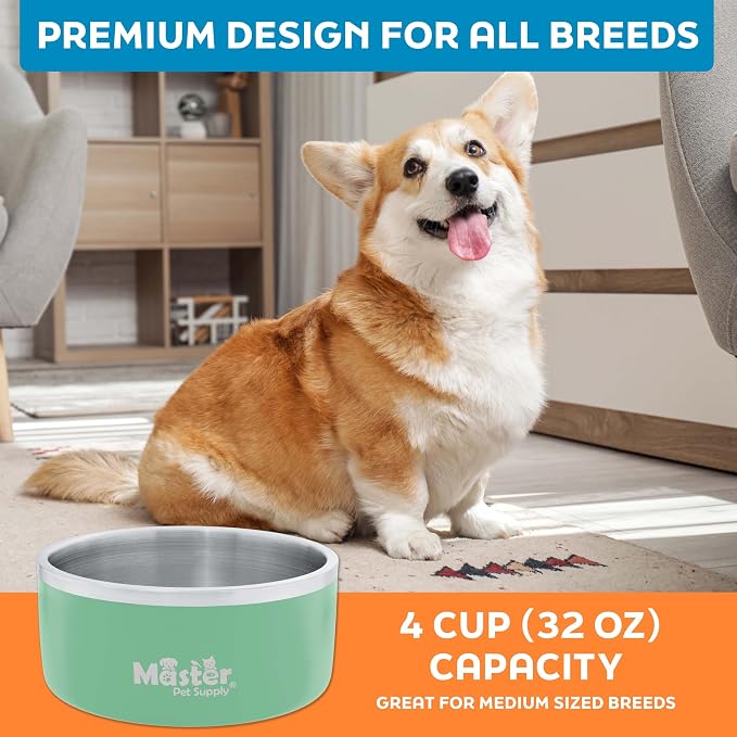 Master Pet Supply Stainless Steel Dog Bowls - 32 oz, Heavy Duty - Pistachio, Double Wall Extra-Thick Insulated, Non-Slip Pet Water Bowl for Dogs, Cats & Pets, Anti Rust Metal, Dish Washer Safe