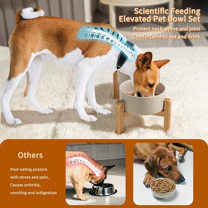 Elevated Ceramic Dog Bowl, 3.6 Cups Dog Food and Water Bowl Set with Stand | 6.1'' Double Dog Feeding Dishes, Non-Slip Raised Dog Feeder for Small and Medium Breeds, 28.74 OZ / 850 ML, White