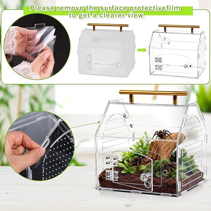 Jumping Spider Enclosure, 8.8" x 7.1" x 8.2" Acrylic Tarantula Enclosure with Feeding Hole and Magnetic Door, Reptile Terrarium Habitat for Tarantula, Spiders, Beetle, Mantis