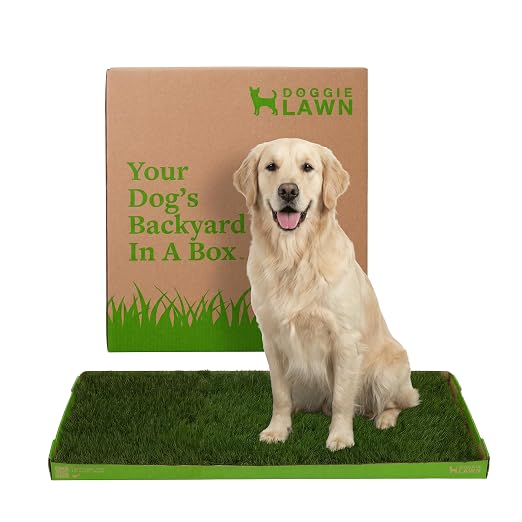 DoggieLawn Real Grass Dog Pee Pads with Tray - XLarge Dog Potty Pad 48x24 | No-cleaning, odor-reducing puppy potty training pad for housebreaking, indoor or outdoor use, real grass, replace when needed