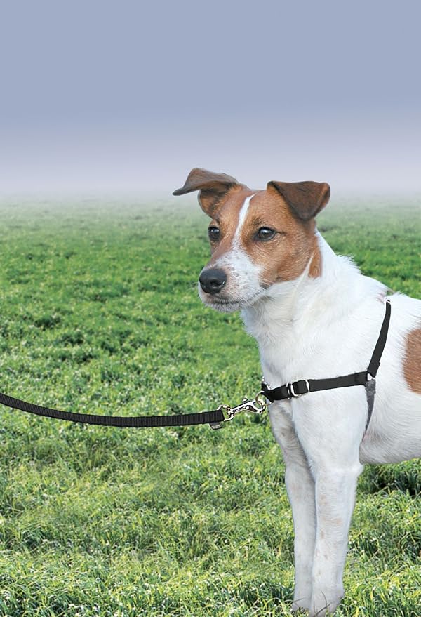 PetSafe Easy Walk Harness, No Pull Dog Harness, Black, Small | Patented Martingale Loop Gives Gradual Shoulder Pressure to Stop Pulling, Front-Chest Leash Clip Prevents Gagging