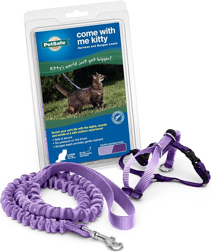 PetSafe Come with Me Kitty Harness and Bungee Cat Leash, Lilac, Small | Adjustable 2-Point Fit Applies Gentle Pressure to Shoulders, Not Neck, for Kittens and Small Cats with 9 in - 11 in Girth