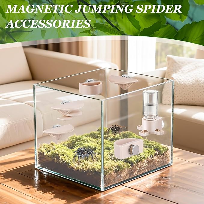 6 Pcs Jumping Spider Accessories, Mushroom Ledges & Feeding Dish and Water Dispenser, Magnets Jumping Spider Enclosure/Habitat Decor for Small Animals, Geckos, Tarantulas