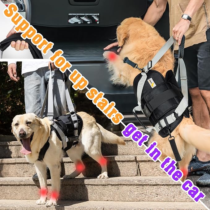 Dog Lift Harness for Large Dogs,Full Body Dog Sling Carrier, Black, Large | Help Support Big, Elderly Pet with Arthritis, Front/Rear Legs Assistance with Handle, for Lifting Injured Dogs Up Stairs