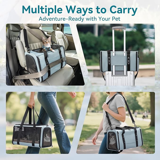 PETSFIT Large Cat Carrier with Patented Safety Buckles,Big Cats Up to 20 lb | Secure Carrier for Safe Driving, Lockable Zippers, Safety Tether, Travel Pet Carrier for Trips & Vet Visits, 19 x 12 x 12