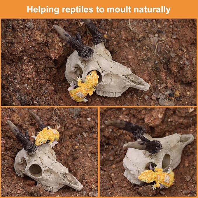 Mini Reptile Hide Cave, Small Terrarium Shelter for Spider, Tarantula, Gecko Tank Accessories, Natural Climbing Decor for Terrarium Habitat, 4 Inch(Elk Skull)
