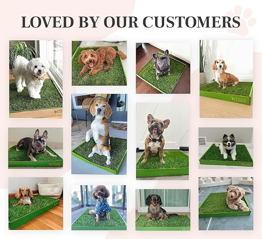 DoggieLawn Real Grass Dog Pee Pads with Tray - Mini Dog Potty Pad 24x9 | No-cleaning, odor-reducing puppy potty training pad for housebreaking, indoor or outdoor use, real grass, replace when needed