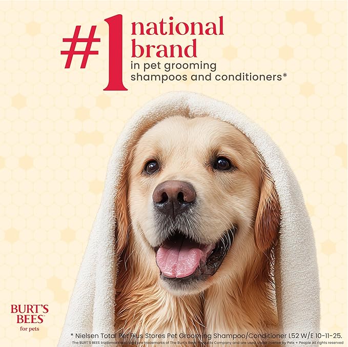 Burt’s Bees Manuka Honey Oatmeal Conditioner for Dogs with Coconut Oil, 10 Fl Oz