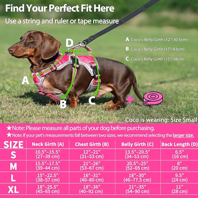 Escape Proof Dog Harness, Dachshund Harness, Reflective Dog Harness with Handle, Durable,Adjustable Vest for Small Medium Large Dogs Walking, Training, and Running Gear (Rose red,M)