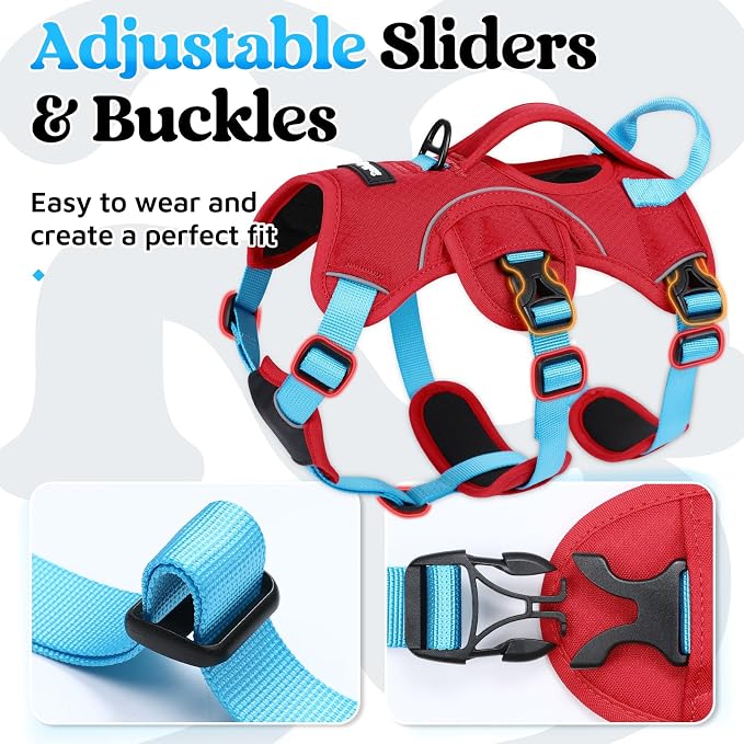 rabbitgoo Escape Proof Dog Harness for Small, No Pull with Lift Handle | No Escape, Full Soft Padded, Reflective Adjustable Vest, Leash Clip for Walking Hiking Training, Sky Blue & Red, Small