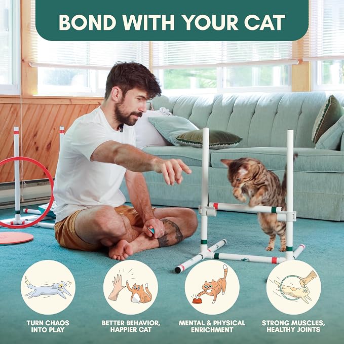 ALBERT & MIA Catgility™ Cat Agility Equipment, Hurdles, Poles, Hoop & Tunnel | Indoor obstacle course training for kittens and small dogs, jumping exercise and enrichment, clicker trainer guide included
