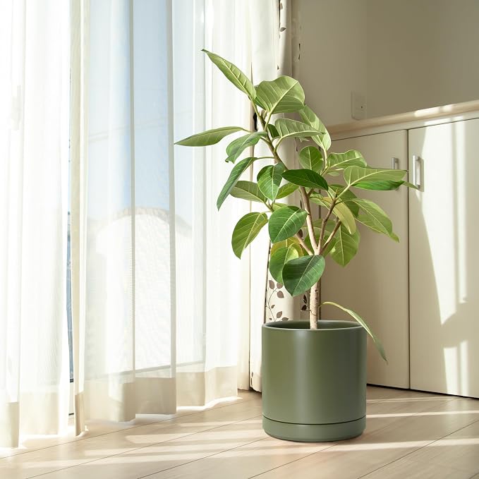 D'vine Dev 10 Inch Ceramic Planter Pot, Olive, 94-O-E-J | Modern Cylinder Design, Drainage Hole & Saucer Included, Stable Structure, Elegant Home Accent
