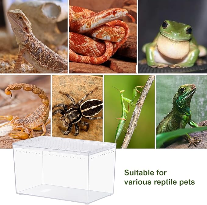 Reptile PC Terrarium 10.2" x 5.9" x 5.7" Full View Small Reptile Tank for Tarantula Insect Hermit Crab Spider Habitat Amphibians Enclosure