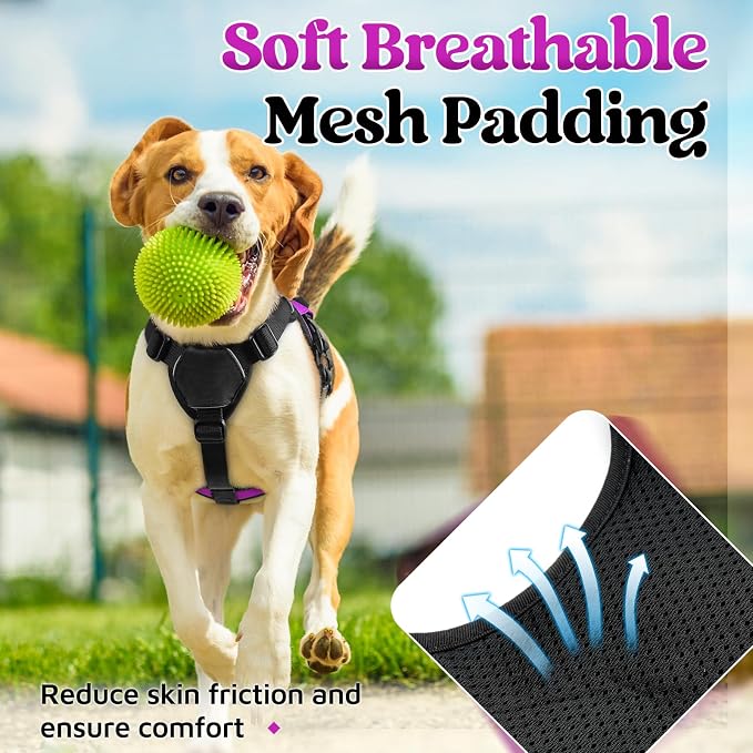 rabbitgoo Escape Proof Dog Harness for Small, No Pull with Lift Handle | No Escape, Full Soft Padded, Reflective Adjustable Vest, Leash Clip for Walking Hiking Training, Purple, Small