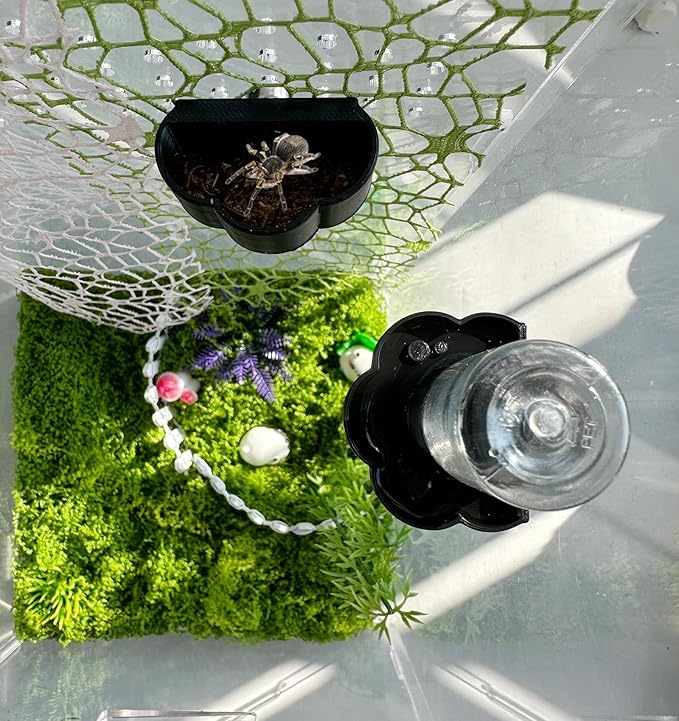 Jumping Spider Water Dispenser, Magnetic Hanging Feeder Dish with Cleaning Brush and Tweezers,Fits for Jumping Spiders,Arboreal Animals, and Other Small Animal Accessories (Green, 8ml)