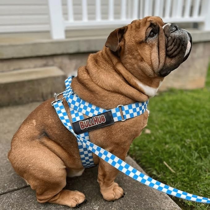 Adjustable Dog Harness– No Pull, No Choke – for English Bulldogs, French Bulldogs, Pugs & Broad-Chested Breeds – Easy, Safe Walks (Blue Checkers, Medium)