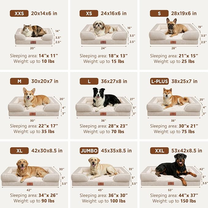 Comfort Expression Waterproof Orthopedic Dog Beds for Large Sized Dog | Supportive Egg Crate Foam Large Pet Bed with Removable Bolster, Dog Couch with Washable Cover & Non-Slip Bottom, 36x27 Inch