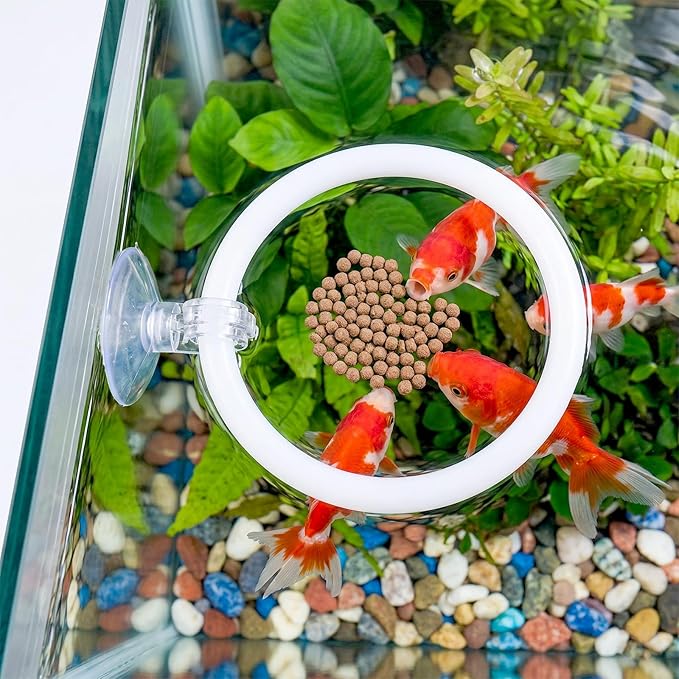 Betta Fish Exercise Ring and Betta Mirror Set, Heart Floating Exercise Mirrors, Betta Ring Enrichment Toys, Betta Fish Toys for Fish Tank, Betta Tank, Aquarium Accessories