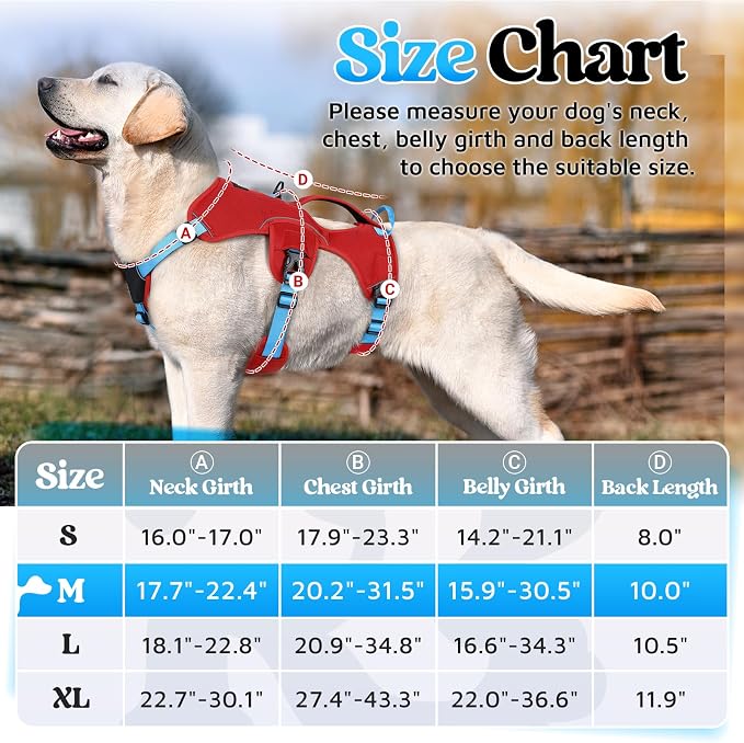 rabbitgoo Escape Proof Dog Harness for Medium, No Pull with Lift Handle | No Escape, Full Soft Padded, Reflective Adjustable Vest, Leash Clip for Walking Hiking Training, Sky Blue & Red, Medium