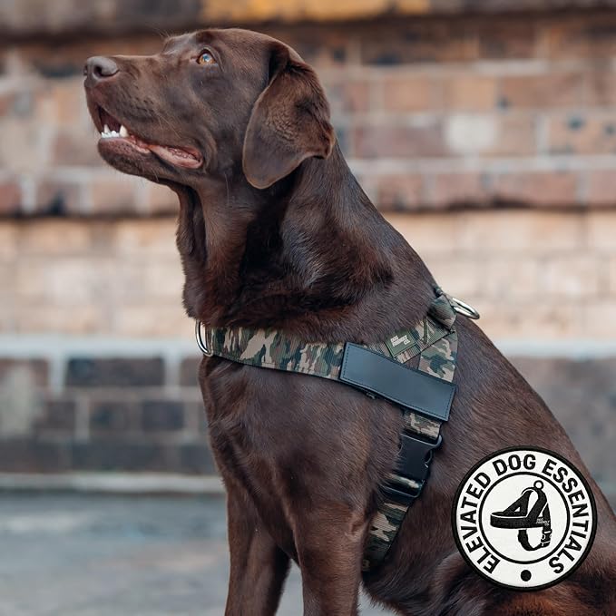 Dog Friendly Co. Dog Harness for Large Breeds (Green Camo, Extra Large) | One Click Buckle, Chafe Resistant Webbing, Adjustable Neck & Chest, and Heavy Duty D-Ring, Sturdy Comfortable and Easy to Use