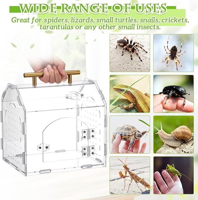 Teenyyou Jumping Spider Enclosure 8.9" x 7.1" x 8.3" Acrylic Tarantula Enclosure Insect Terrarium with Handle and Magnetic Door Transparent Terrarium for Reptiles, Amphibians and Spiders