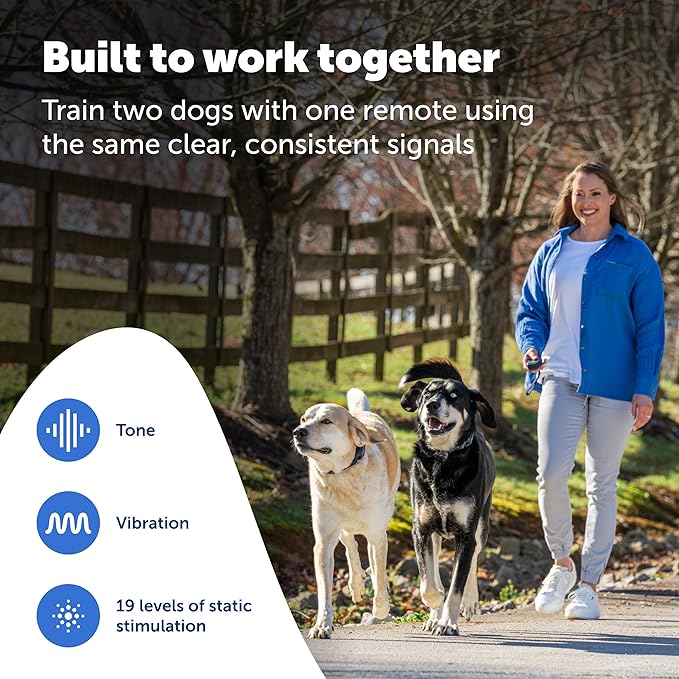 PetSafe Pro Dog Trainer with Remote and Add-A-Dog Collar Waterproof Training Collar 1000 ft Range Tone, Vibration and 19 Levels of Static Sleek, Low-Profile Design