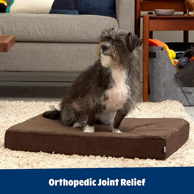 BarkBox Orthopedic Dog Bed - Medium | with Memory Foam - Comfortable, Durable & Machine Washable Pet Bed - Espresso