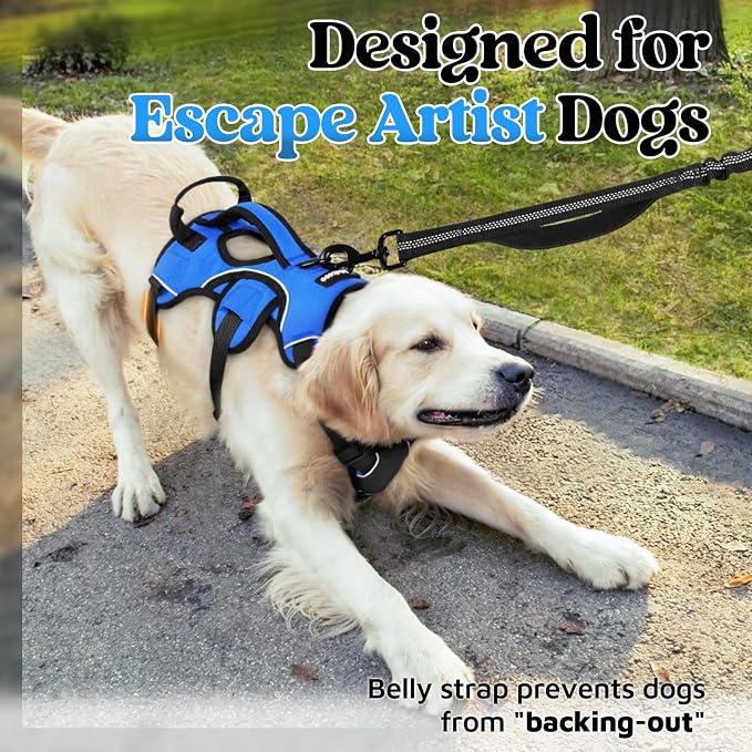 rabbitgoo Escape Proof Dog Harness for Medium, No Pull with Lift Handle | No Escape, Full Soft Padded, Reflective Adjustable Vest, Leash Clip for Walking Hiking Training, Blue, Medium