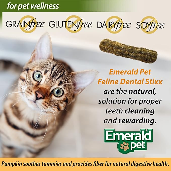 Emerald Pet Grain-Free Catnip Cat Dental Treats – Crunchy Dental Sticks for Cats to Clean Teeth, Reduce Plaque & Tartar, Freshen Breath – Pumpkin for Digestive Health, Natural Cat Chews, 3.6 oz
