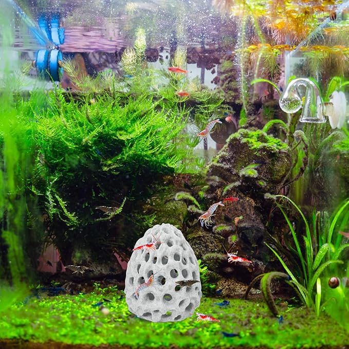 HINGTAI Shrimp Dome Hide Betta Habitat Fish Tank Tunnel with Suction Cup Aquarium Fish Cave Hideout Ornament Accessories for Shrimp Guppy Hiding Resting White