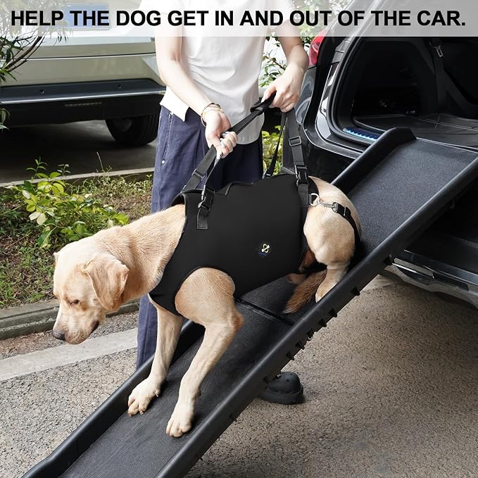 Coodeo Dog Lift Harness, Pet Support & Rehabilitation Sling Lift Adjustable Padded Breathable Straps for Old, Disabled, Joint Injuries, Arthritis, Loss of Stability Dogs Walk (Black, XL)