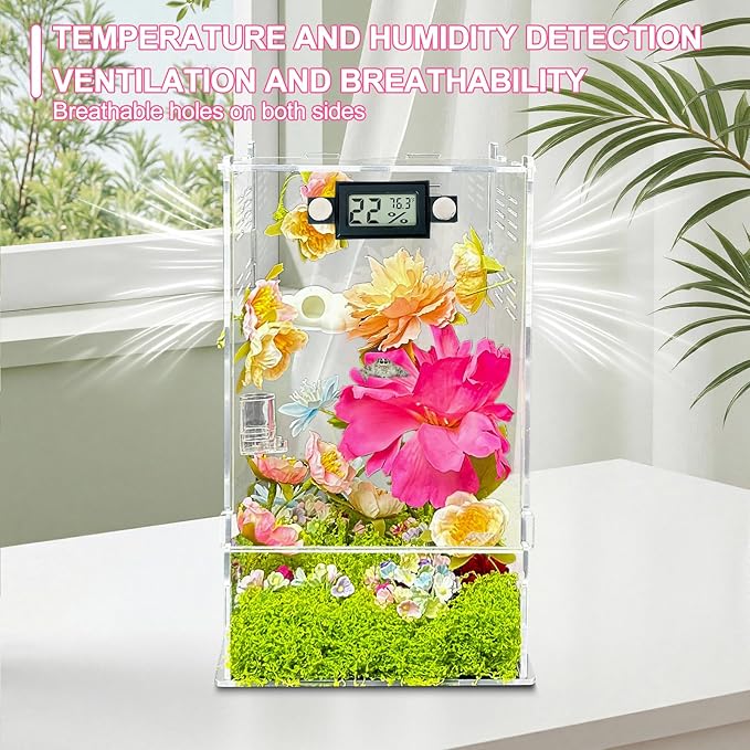 Jumping Spider Enclosure,DIY Insects Habitat,Small Reptile Terrarium Glass House Accessories Set,with Temperature and Humidity Detector Water Feeder Platform Hide,5.5“x5.5”x9.5“ (Garden)