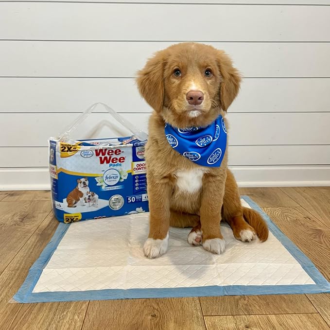 Four Paws Wee-Wee Odor Control Dog Pee Pads with Febreze Freshness | 150 count, spring fresh scent, neutralizes ammonia odors, pee pads for dogs & puppies, dog housebreaking, 22" x 23"