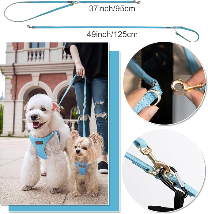 Puppytie Small Dog Harness with Multifunction Dog Leash,Lightweight Soft Adjustable No Choke Escape Proof Pet Harness Vest Pet Harness Vest,Ocean Blue,S