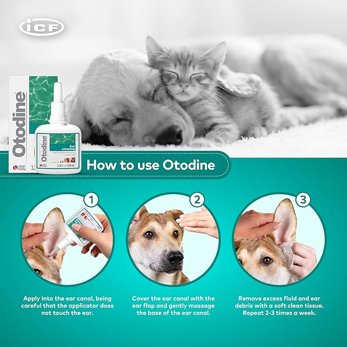 ICF Otodine Dog Ear Cleaner Solution Drops for Itchy Ears, Infections, Head Shaking, Scratching, Wax, Debris & Odor - Tris-EDTA Flush - Gentle & Safe for Cats & Puppies - 100ml