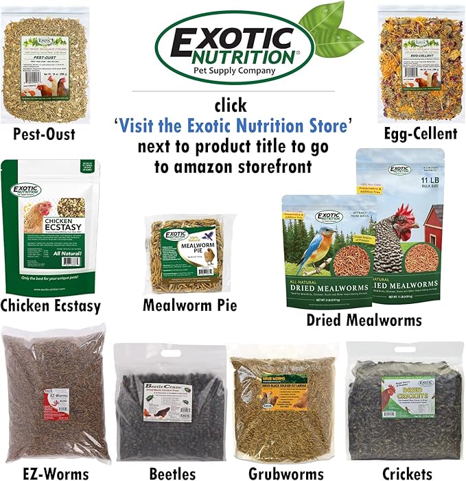 EZ Worms (20 lb.) - Blend of Dried Mealworms & Black Soldier Fly Larvae (BSFL) - Healthy Insect Treat - Chickens, Bluebirds, Sugar Gliders, Hedgehogs, Squirrels, Skunks, Reptiles, Turtles, Fish