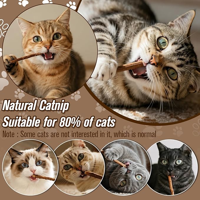 CARGEN Silvervine Cat Chew Sticks - 12 PCS Natural Kitten Chew Toys, Dental Cleaning Sticks, Indoor Cat Daily Treats & Entertainment Supplies