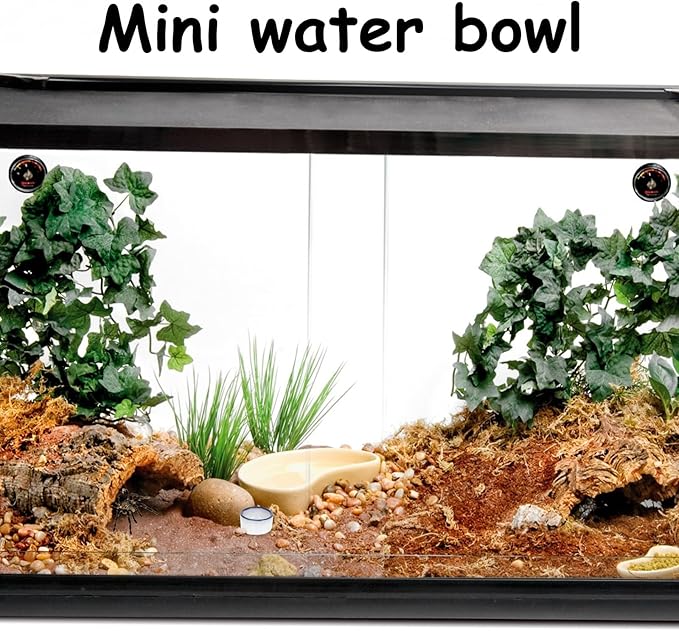 6 Pcs Spider Mini Water Bowl Tarantula Micro Ceramic Water Dish for Spider Tarantula Millipede Tiny Reptile Scorpion Cricket Snail Manti Bugs