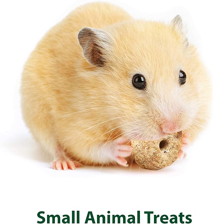 Kaytee Timothy Biscuits Baked Treat for Pet Guinea Pigs, Rabbits & Other Small Animals, Carrot, 4 oz (Pack of 2)