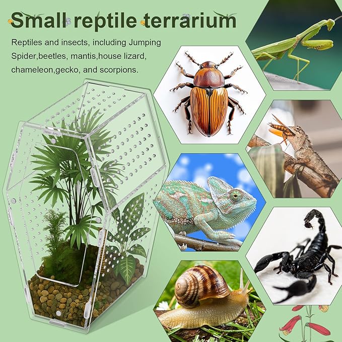Yalikop Acrylic Jumping Spider Habitat Versatile Reptile Enclosure Transparent Insect Terrarium Habitat for Spiders, Tarantula, Gecko, Chameleon, Beetle, Mantis, and Hermit Crab(Clear,L)