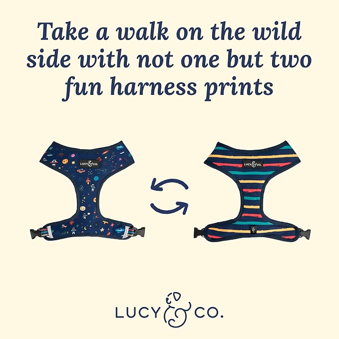 Lucy & Co. Reversible Dog Harness - Water-Repellent Neoprene, Dual-Print Design, Easy Swap Style, Adjustable Comfort Fit - Space Doodle Reversible Harness - X-Small