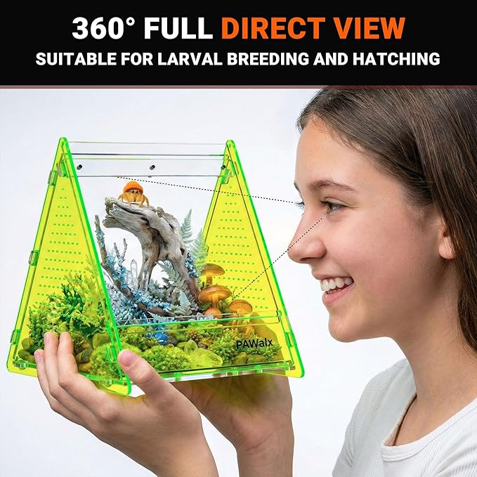 Triangular Jumping Spider Enclosure, Acrylic Terrarium with Magnetic Doors, 0.8mm Micro-Ventilation& Escape-Proof Design for Tarantulas, Lizards, Small Pets (Green,6.5"x7.3"x7")
