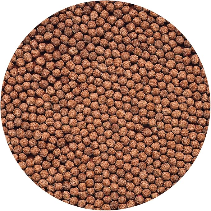 Hikari 8.8-Ounce Cichlid Gold Floating Pellets for Pets, Mini