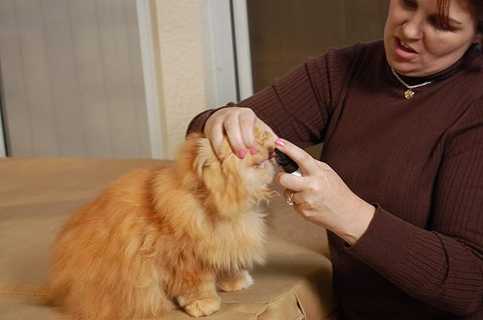 Pet Dental Spray