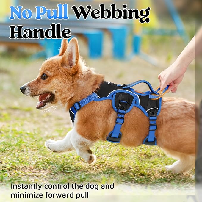rabbitgoo Escape Proof Dog Harness for Small, No Pull with Lift Handle | No Escape, Full Soft Padded, Reflective Adjustable Vest, Leash Clip for Walking Hiking Training, Blue & Black, Small