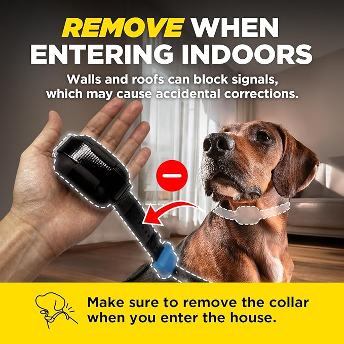 Dogtra Smart Fence Additional Receiver Only (Orange) - Expand to 2 Dogs, Requires Control Station, Wireless Electric Dog Fence System, No Subscription, 2-Tier Alarm, Tone/Vibration/Static, 35 lbs+