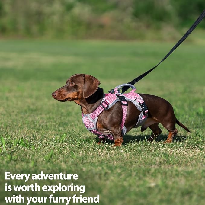 Escape Proof Dog Harness, Dachshund Harness, Reflective Dog Harness with Handle, Durable,Adjustable Vest for Small Medium Large Dogs Walking, Training, and Running Gear (Pink,XL)