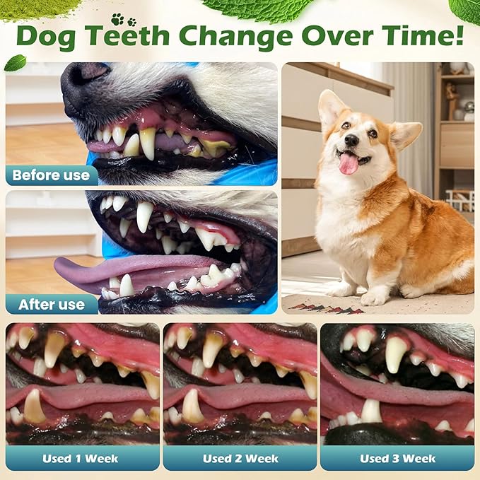 Dog Teeth Cleaning Powder, Dog Dental Powder and Cats Breath Freshener, Bad Breath & Tartar Remover for Dogs, Natural Herbal Blend of All Breeds, 200 Grams(90-Day Supply)