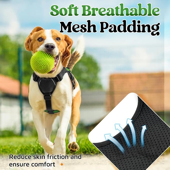 rabbitgoo Escape Proof Dog Harness for Small, No Pull with Lift Handle | No Escape, Full Soft Padded, Reflective Adjustable Vest, Leash Clip for Walking Hiking Training, Green, Small